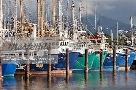 $9 million East Coast net fishery buyback schem