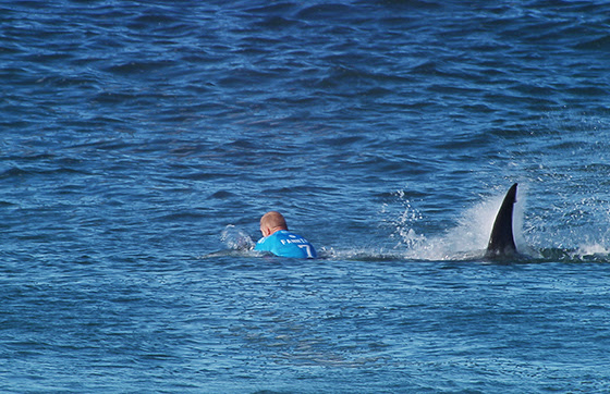 The J-Bay Open was called off today during the Final after three-time WSL Champion Mick Fanning (AUS) was attacked by a shark. Image: WSL 