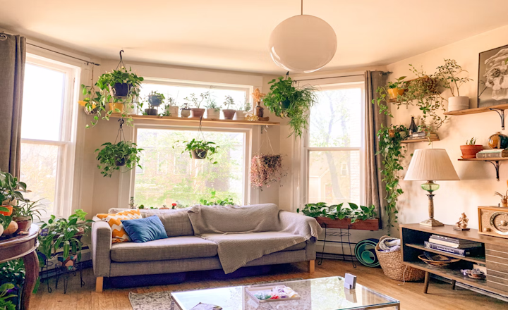 10 Creative Ways to Incorporate Plants into Your Home Décor 10 Creative Ways to Incorporate Plants into Your Home Décor