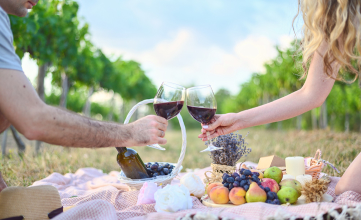 Expert Tips for a Memorable Hunter Valley Wine Tour